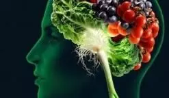 Mental health awareness: खाने में जरूर लें ये पोषक तत्व, कभी नहीं होगा दिमाग खराब