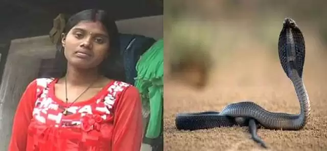 इच्छाधारी नाग ने की लड़की से शादी, भरा मांग में सिंदूर