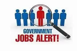 Government Jobs की होगी भरमार ,Government Of India करेगा बड़े पैमाने पर भर्ती