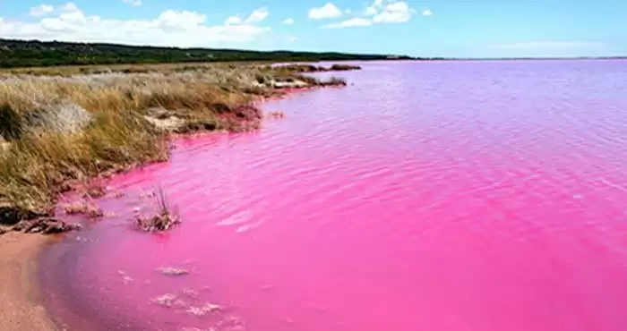 कभी सुना है गुलाबी पानी की झील चौंक उठेंगे इस बारे में सुनकर
