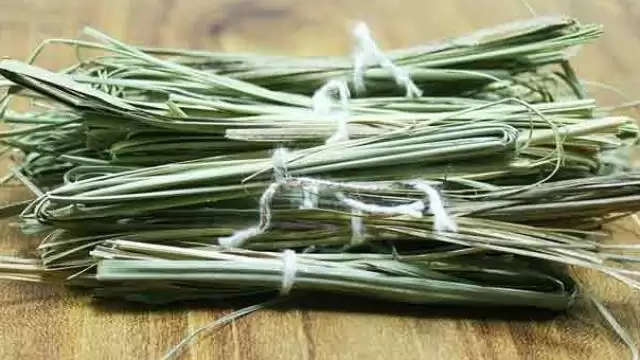 कुशा का महत्व और अन्य प्रभावी उपाय