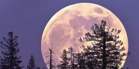 आज कर लें अपने इस चाँद के दर्शन वर्ना करना पड़ेगा लम्बा इन्तजार