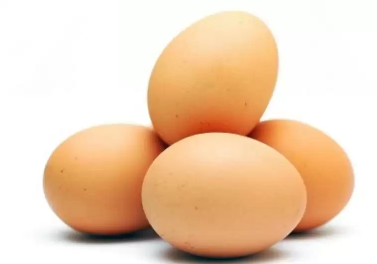अंडा खाने वालो के ख़ास खबर, जरूर पढ़े