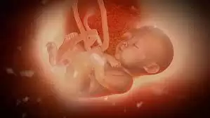 गर्भ में बच्चा लात कब और क्यों मारता है