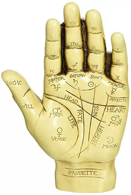 Palmistry आपके हाथ की रेखा ही बता देती है सब कुछ आपके बारे में