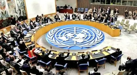 UNSC में पाकिस्तान को इस मामले में मिली झिड़की फिर भी फैला रहा है प्रोपोगेंडा