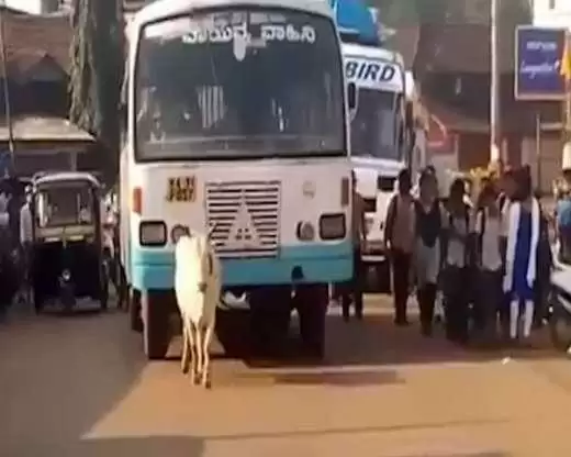 बस थोड़ी सी करनी होगी जुगत मिलेगा 8000 का फोन 501 रूपये में