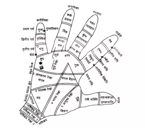 आपकी भी जिंदगी में है विदेश यात्रा का योग? हथेली की इन लकीरों से जानें