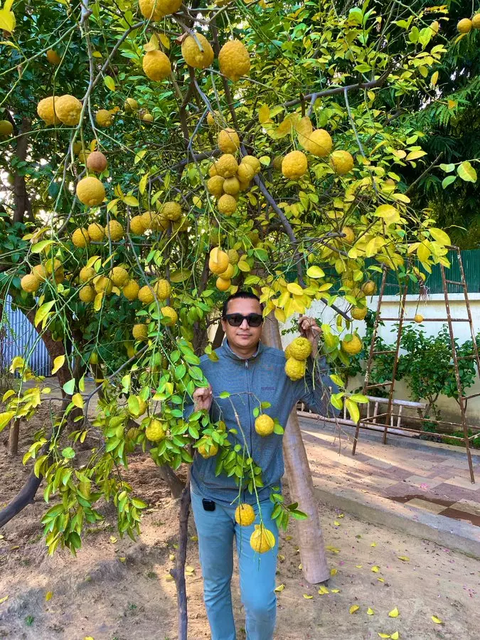 IAS Raj Shekhar के Gardening photo के कायल हुए twitter followers
