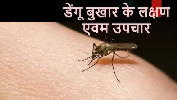 Dengue (डेंगू ) फीवर के जाने क्या है लक्षण और उपाय