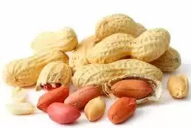 मूंगफली खाने से होते है सेहत को दस फायदे