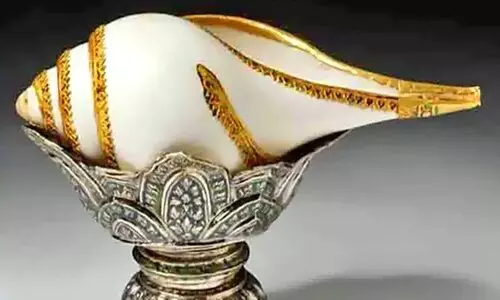 समुद्र मंथन से निकला था शंख, जानिए इसे रखने के लाभ और प्रकार