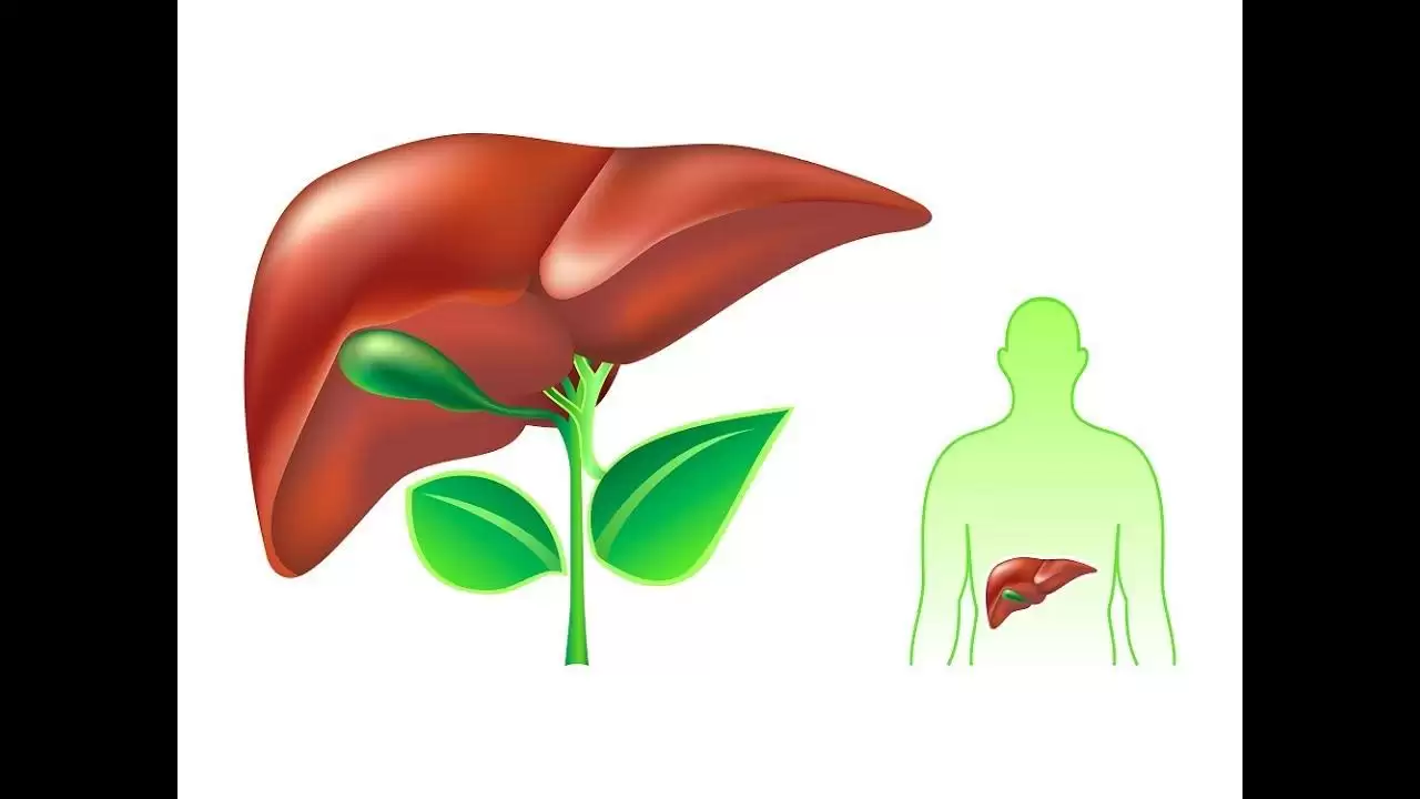 Liver की बीमारी से बचने के 5 उपाय