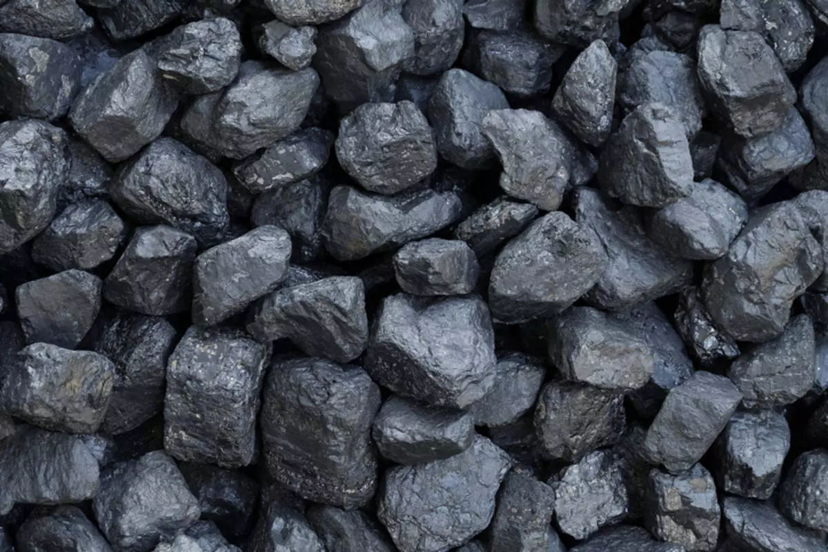 Coal Morning Corruption छत्तीसगढ़ में सारी कवायद बेकार