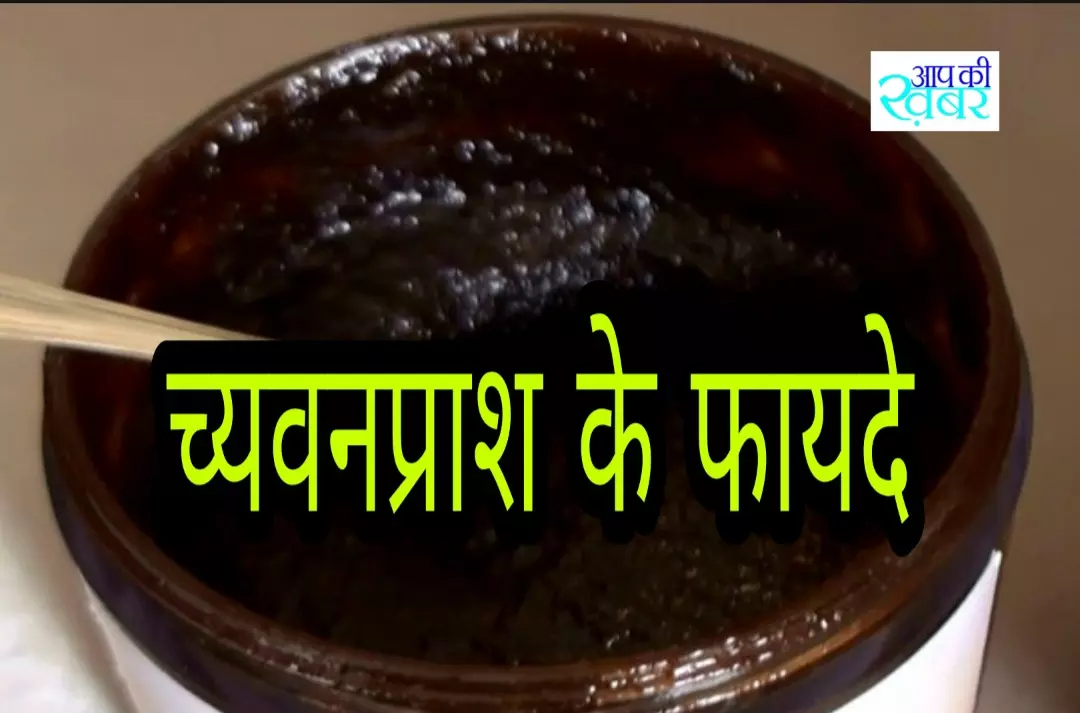 Ayurvedic Tips -च्यवनप्राश कैसे Immunity Booster जैसा करता है काम