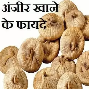 जाने Health के लिए कितना फायदेमंद है अंजीर