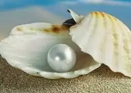 जानिए मोती का प्रभाव और मोती क्यों पहने ???