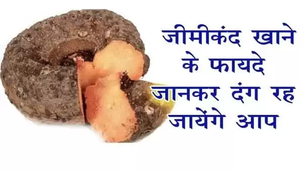 जिमीकंद खाने के फायदे जानकर दंग रहे जायेंगे आप