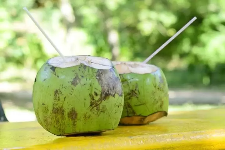 खूबसूरती से लेकर फिटनेस तक, हैरान कर देंगे नारियल पानी पीने के फायदे