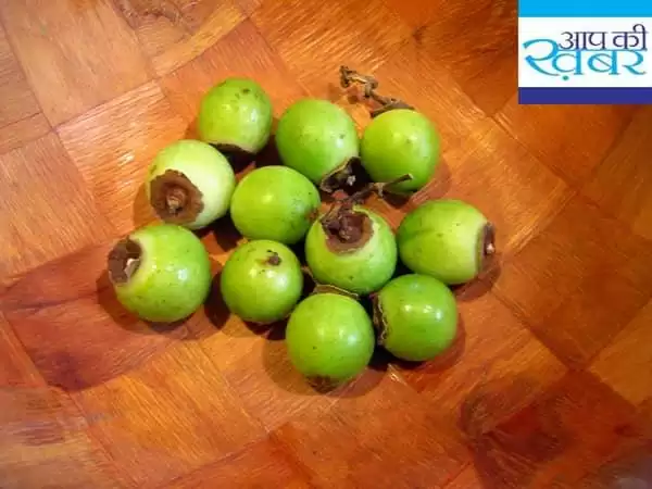 तुरंत घोड़े जैसी ताकत पाने के लिये खायें इस फल को