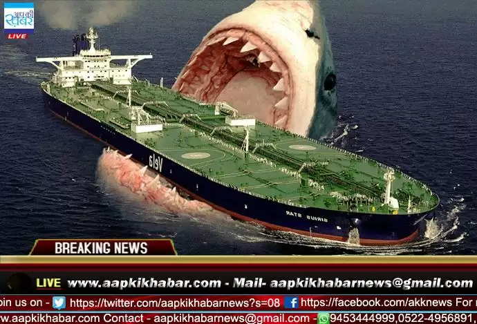 इतनी बड़ी शार्क जो निगल गई पूरा ज़हाज-देखें विडियो