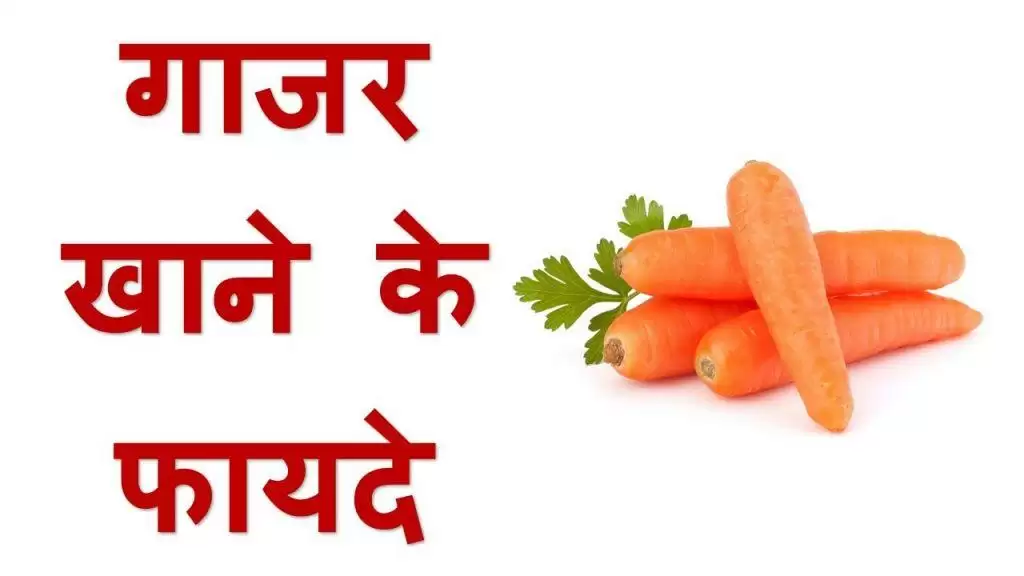 गाजर के खाने से 10 बेहतरीन औषधीय गुण जानिए