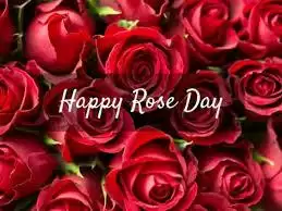 Valentine day Week Special:क्या आप जानते है कि ROSE DAY के दिन दी गई गुलाब के फूलों कि संख्या भी रखती है मायने