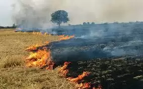 पाकिस्तान में धुंध के पीछे भारतीय किसान जिम्मेदार