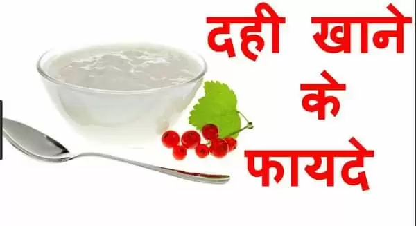 दही खाने के 10 फायदे जानिए