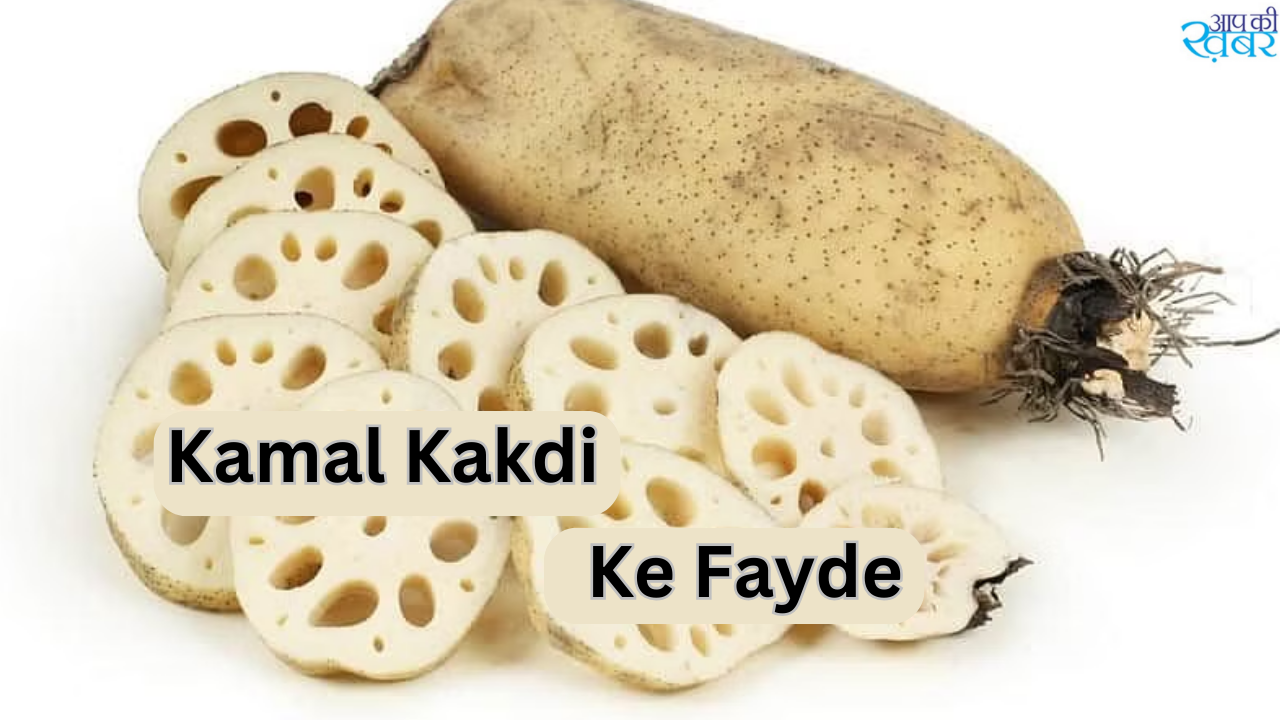 Kamal Kakdi Ke Fayde : कमल ककड़ी खाने से क्या फायदा होता है जानिए 