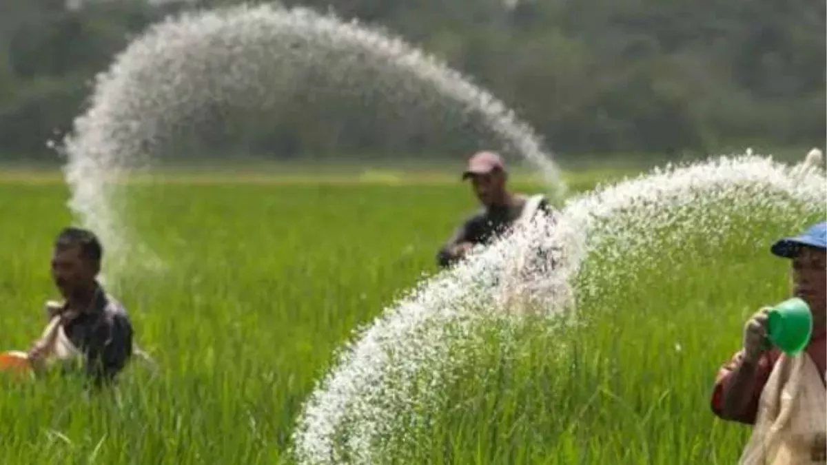 &nbsp;यूपी में किसानों को मिल रही पर्याप्त यूरिया व अन्य उर्वरकों की आपूर्ति