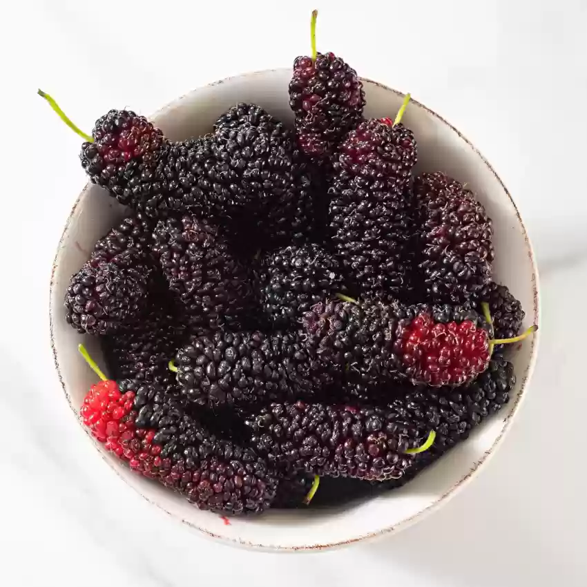 Benefits Of Black Fruits Black Fruits Benefits Black Fruits Ke Fayde Black Fruits Name Black Fruits And Vegetables Immunity Boost Fruits Health News Health Tips