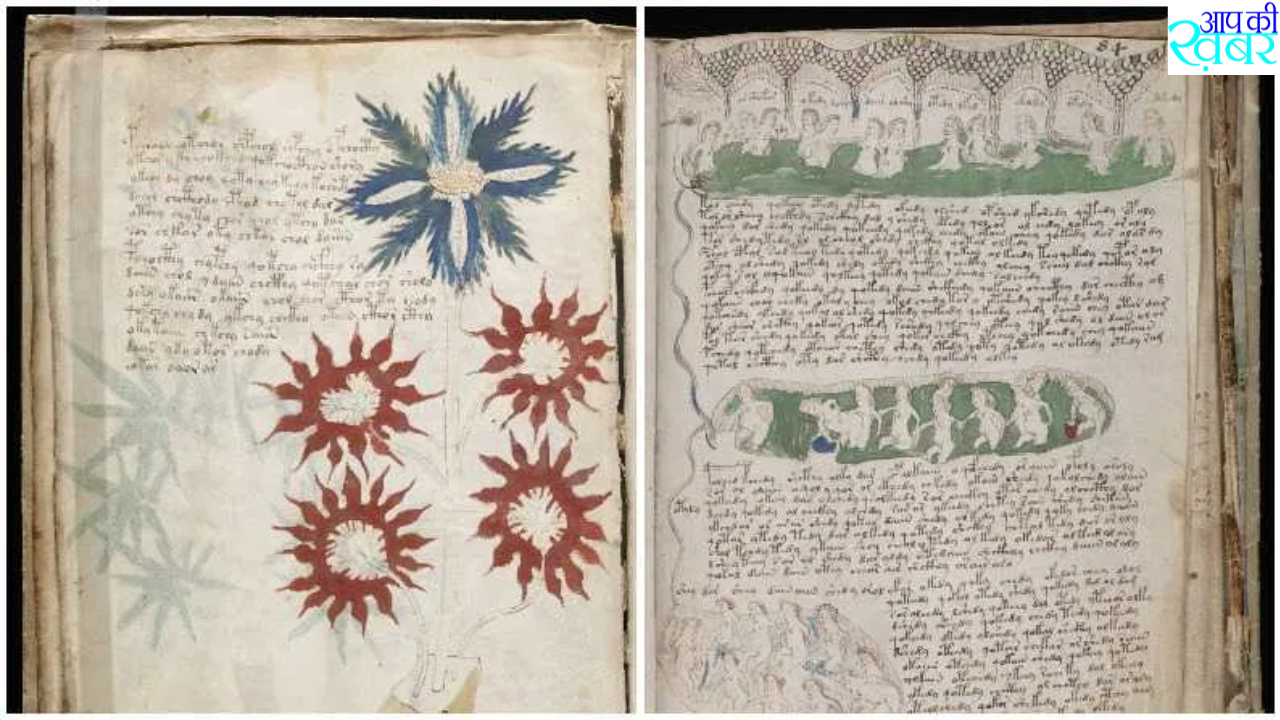 वोयनिच पांडुलिपि किताब 