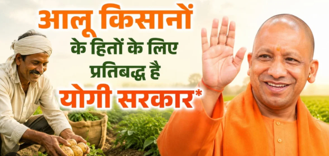 UP Potato Farmers Scheme: योगी सरकार का आलू किसानों को बड़ा तोहफा! ₹1000 करोड़ का भामाशाह कोष, कोल्ड स्टोरेज और बीज पर भारी सब्सिडी; नया पोर्टल लॉन्च