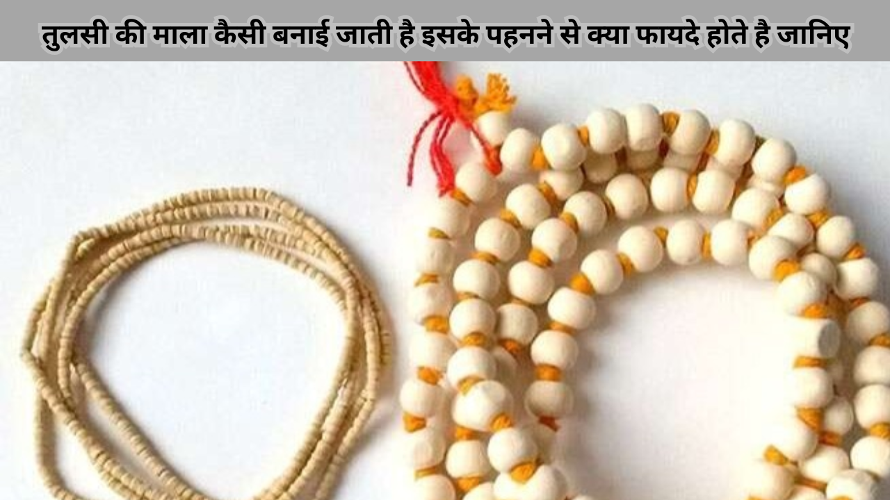 Tulsi Ki Mala Benefits In Hindi : तुलसी की माला कैसी बनाई जाती है इसके पहनने से  क्या फायदे होते है जानिए 