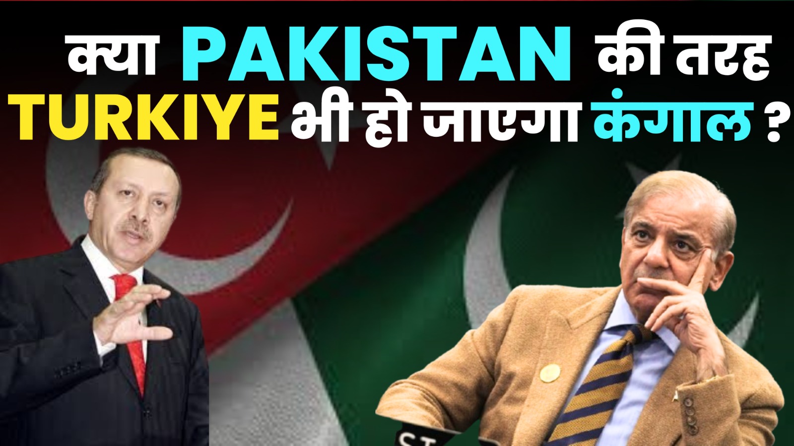 boycott turkey campaign impact 