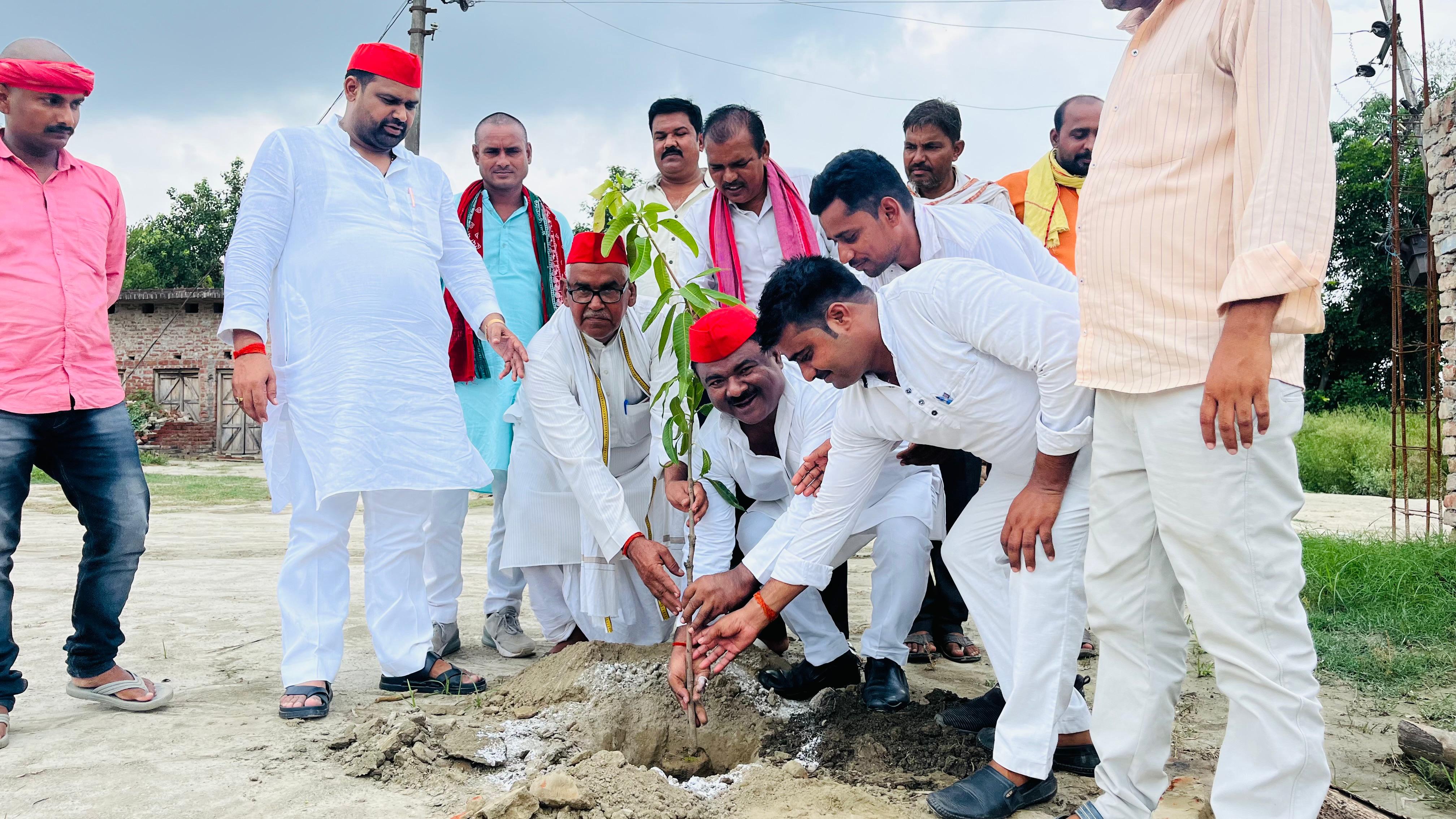 Workers planted trees on Akhilesh's birthday