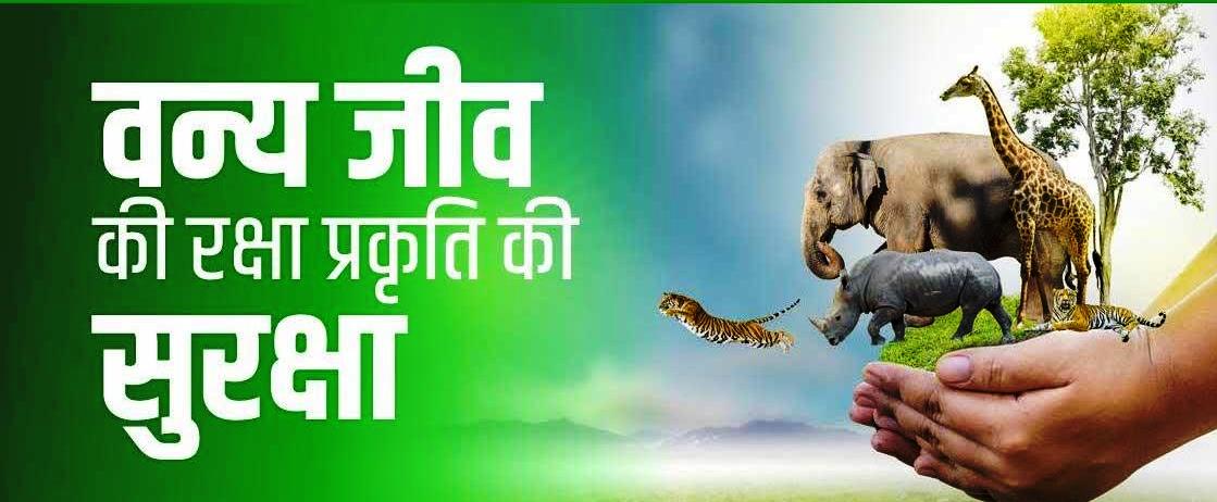 वन्य जीवों का संरक्षण