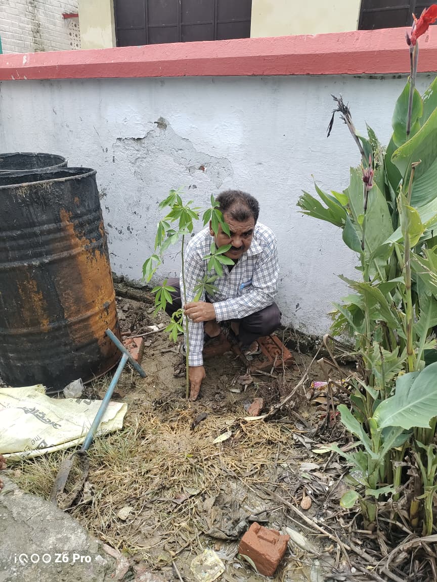 बलरामपुर: पीएमश्री विद्यालय में गूंजा 'एक पेड़ मां के नाम' का संकल्प; बच्चों ने ली पौधों को भाई-बहन की तरह पालने की जिम्मेदारी