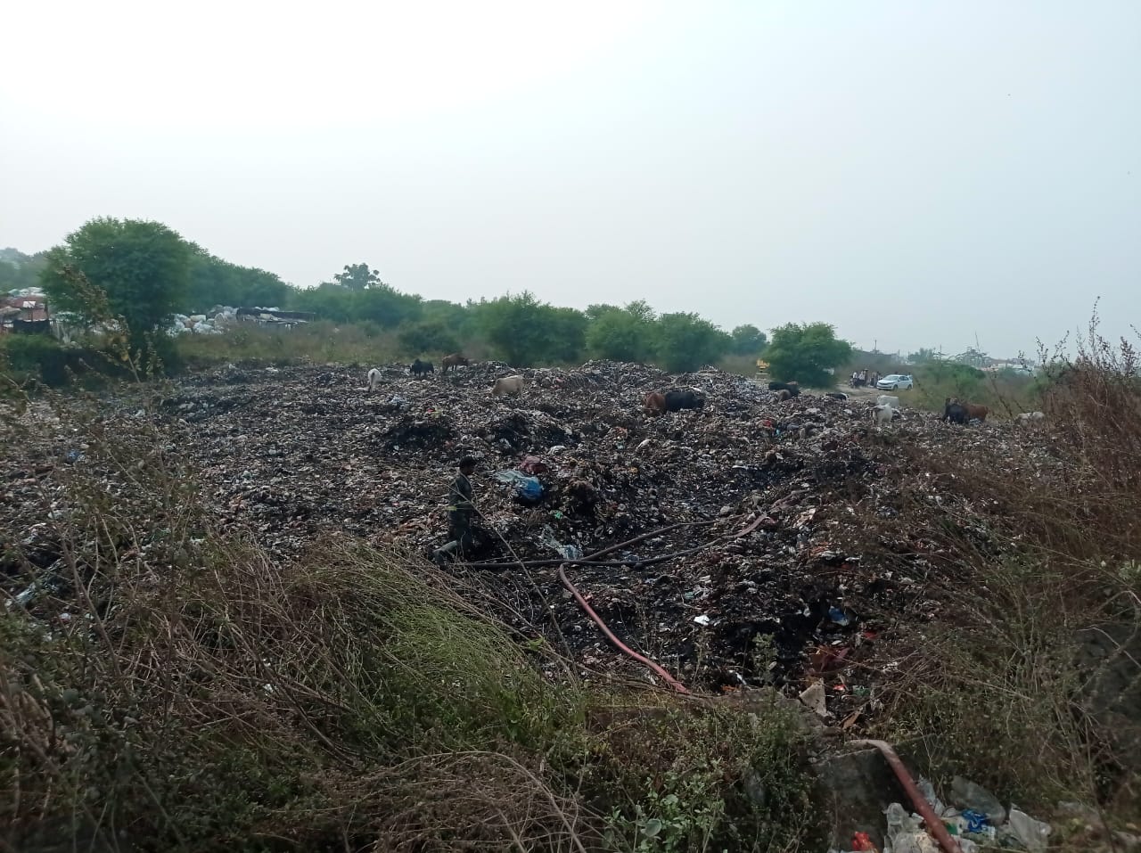 कूड़ा का निस्तारण की मांग 