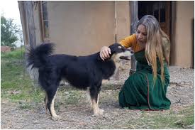 माननीया सांसद जी का कुत्ता: एक अनोखी मॉर्निंग वॉक और संसद सत्र
