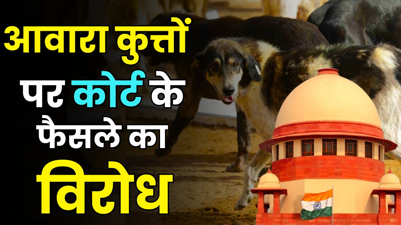  Bollywood reacts stray dog law