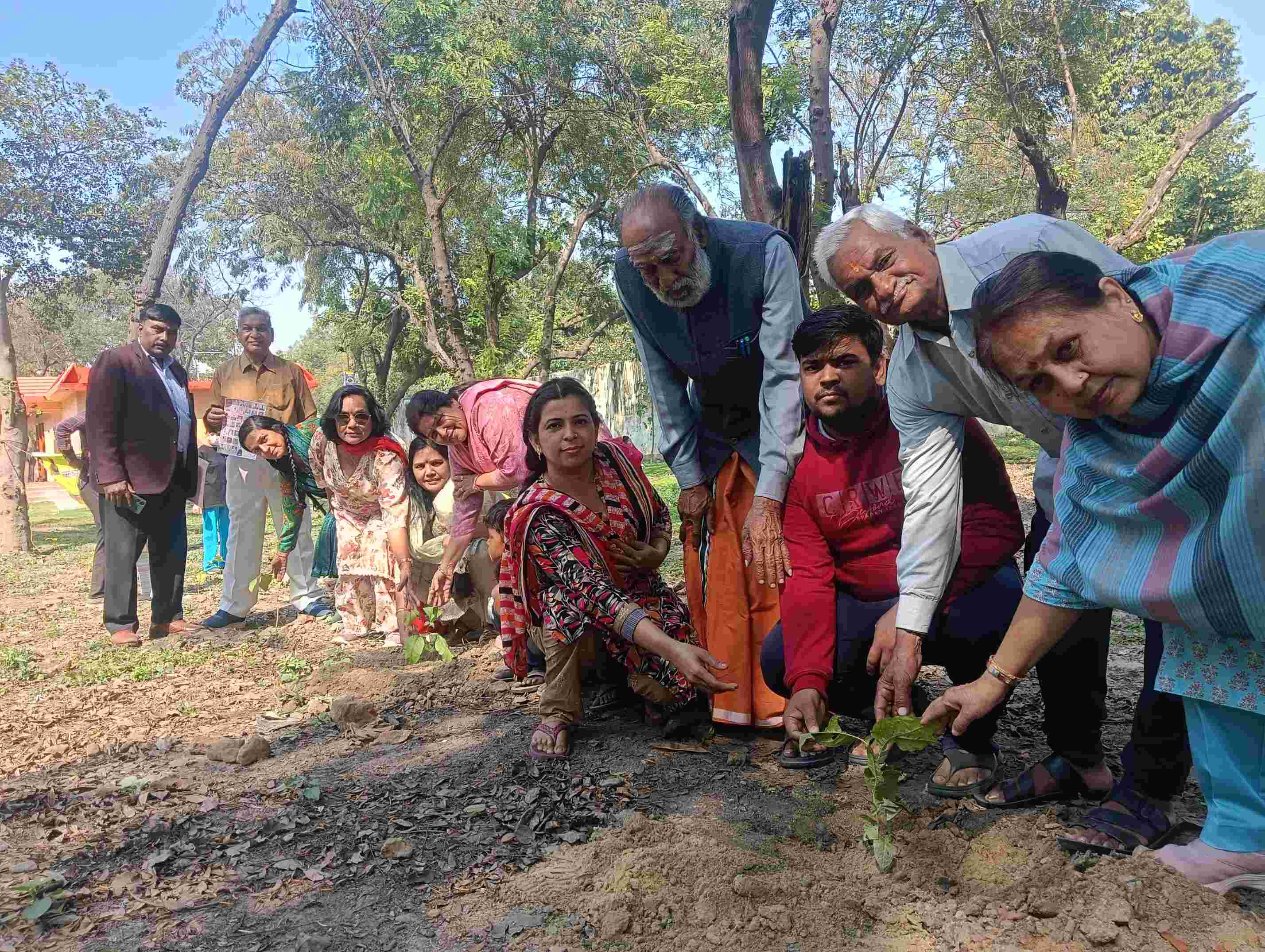 Vine plantation on Mahashivratri at Devvan Nakshatra Vatika