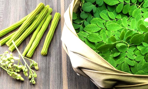 Summer superfood Moringa