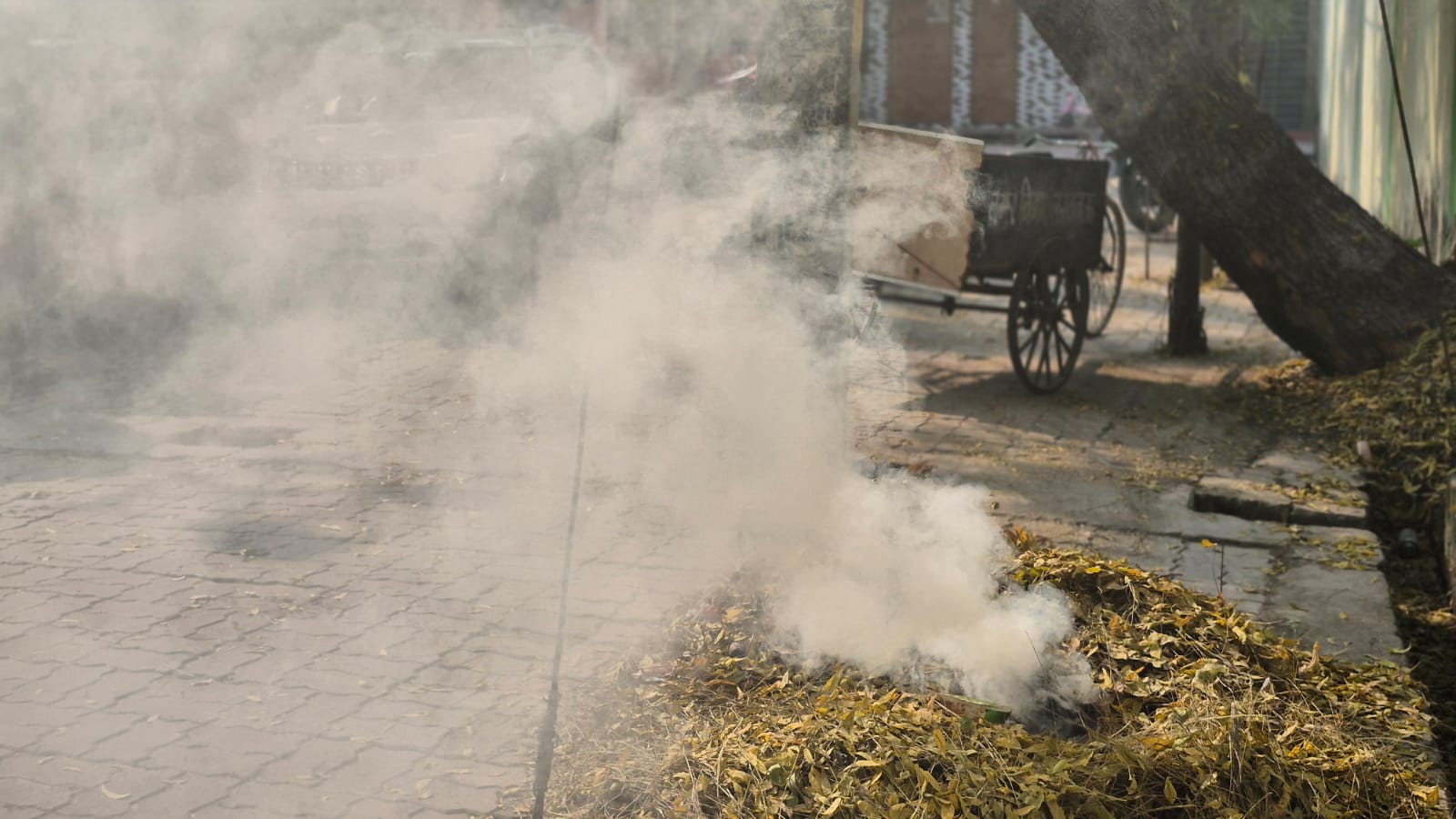 स्वच्छता के नाम पर 'जहर' घोल रहा लखनऊ नगर निगम: खुले में कूड़ा जलाकर दांव पर लगा रहे राजधानी की सांसें