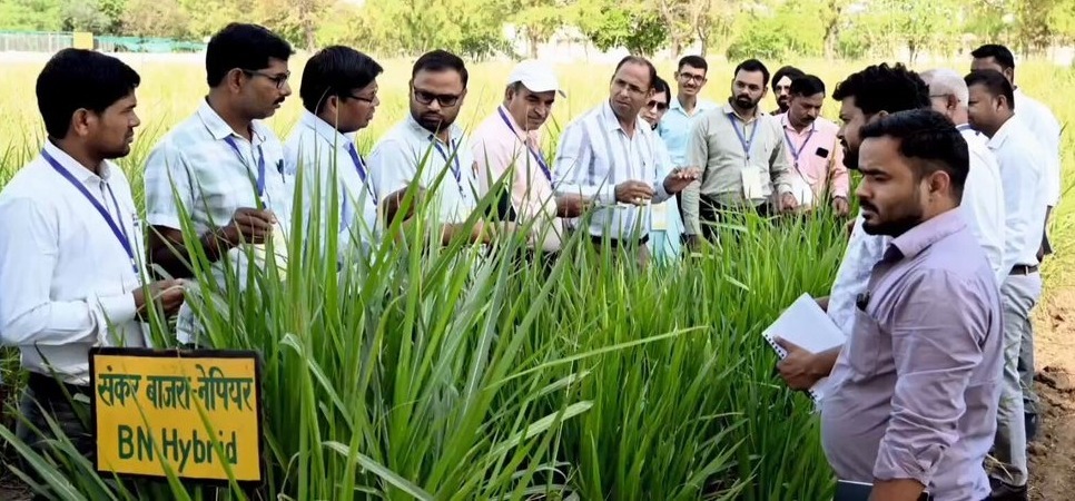 उत्तर प्रदेश में &lsquo;चारा विकास&rsquo; हेतु महाअभियान: 75 जिलों के मास्टर ट्रेनर्स और किसानों को मिला विशेष प्रशिक्षण, बढ़ेगी पशुधन उत्पादकता