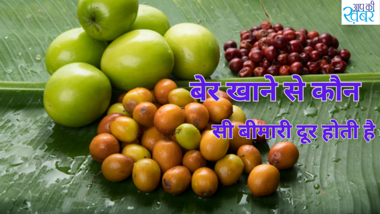 ber khane ke fayde : What is the health benefit of eating plum? बेर खाने से कौन कौन सी बीमारी दूर होती है 