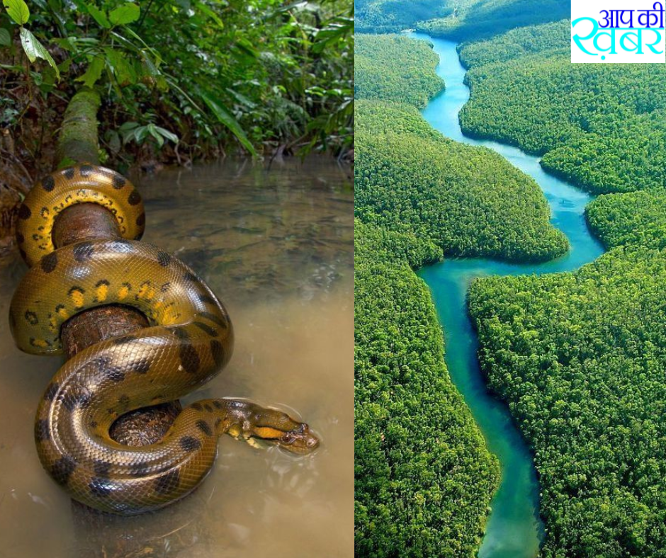 What are some secret facts about the Amazon rainforest? अमेजन जंगल के इन रहस्यों को जानकर हो जायेगे हैरान 