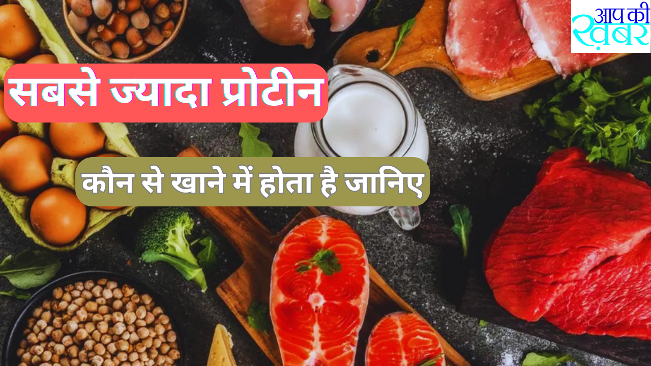 tips for health in hindi  : What food is highest in protein? सबसे ज्यादा प्रोटीन कौन से खाने में होता है जानिए 