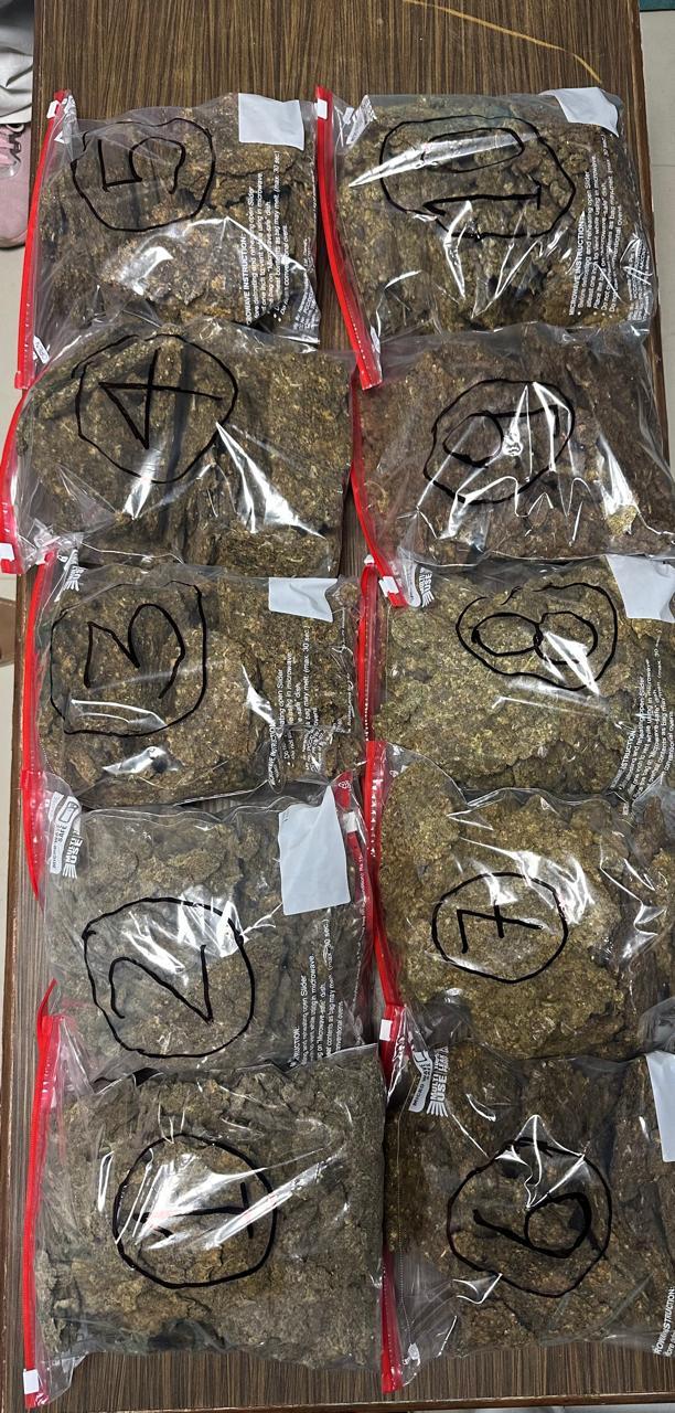 DRI conducts major operation at Lucknow airport, seizes 12.7 kg of high-grade hydroponic marijuana